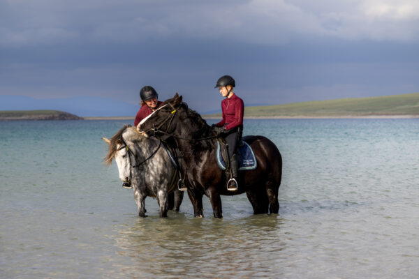 6-daagse paardrijtocht Atlantic Trail  – Ierland