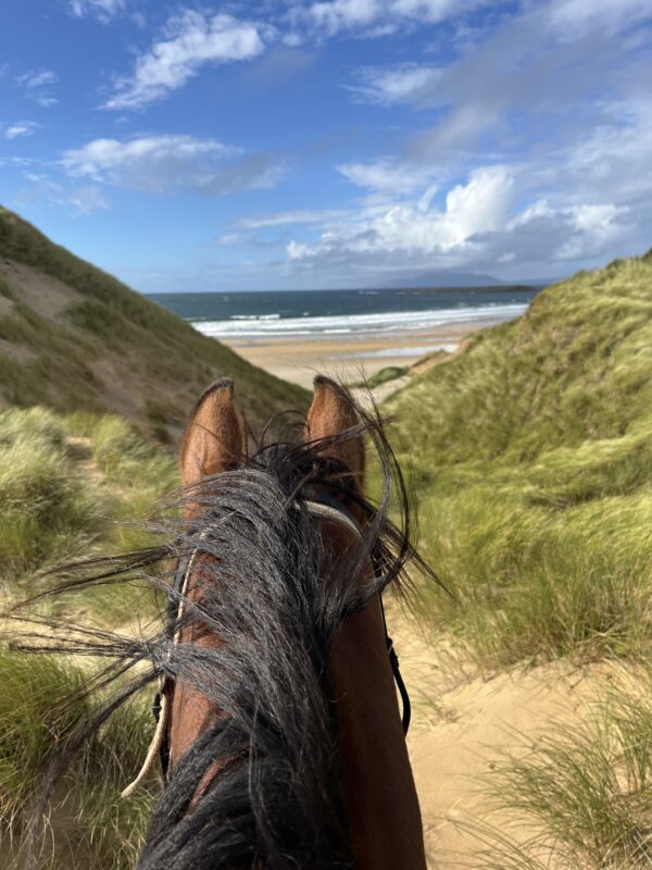 6-daagse paardrijtocht Atlantic Trail  – Ierland