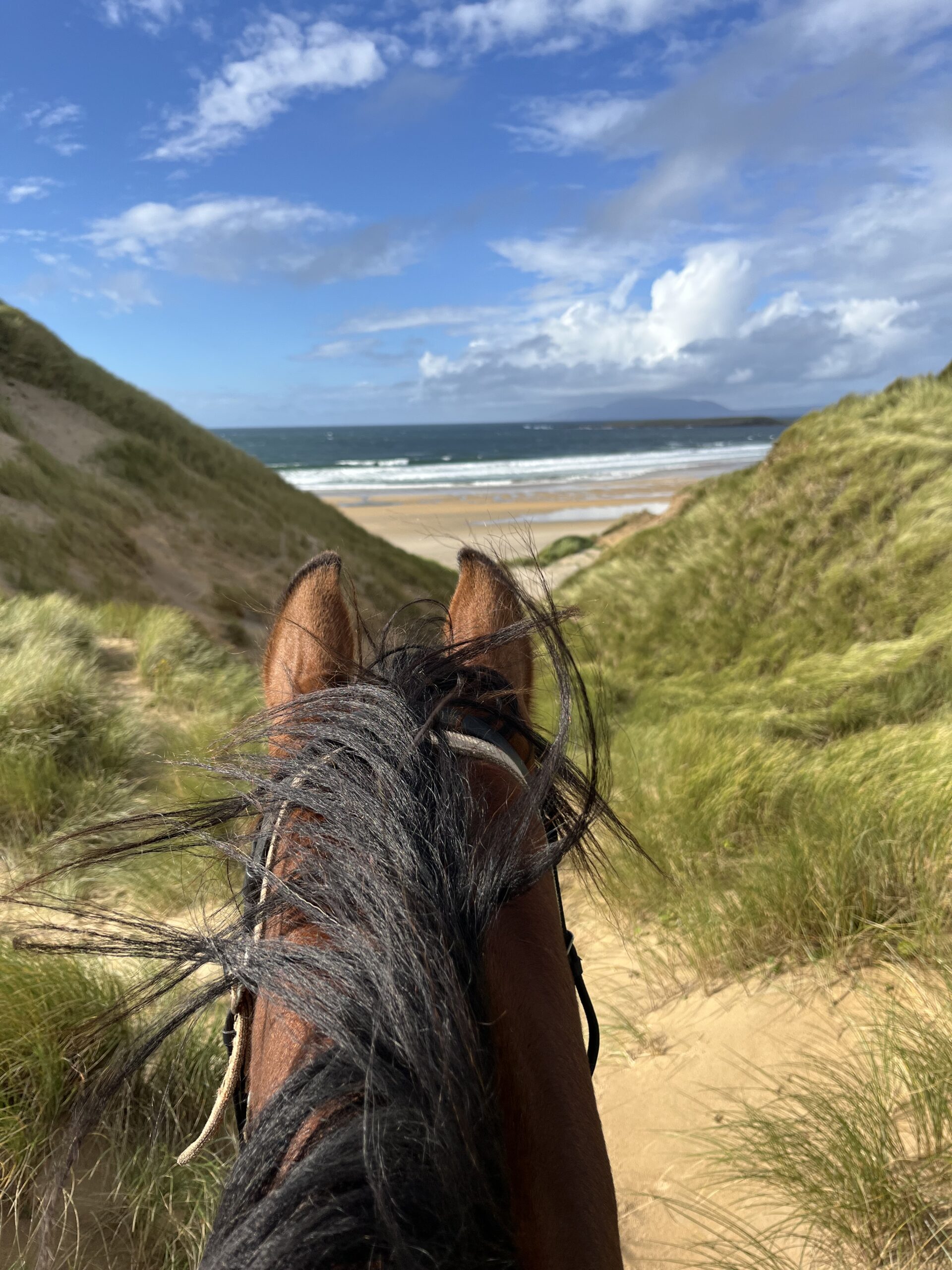 6-daagse paardrijtocht Atlantic Trail  – Ierland - Afbeelding 7