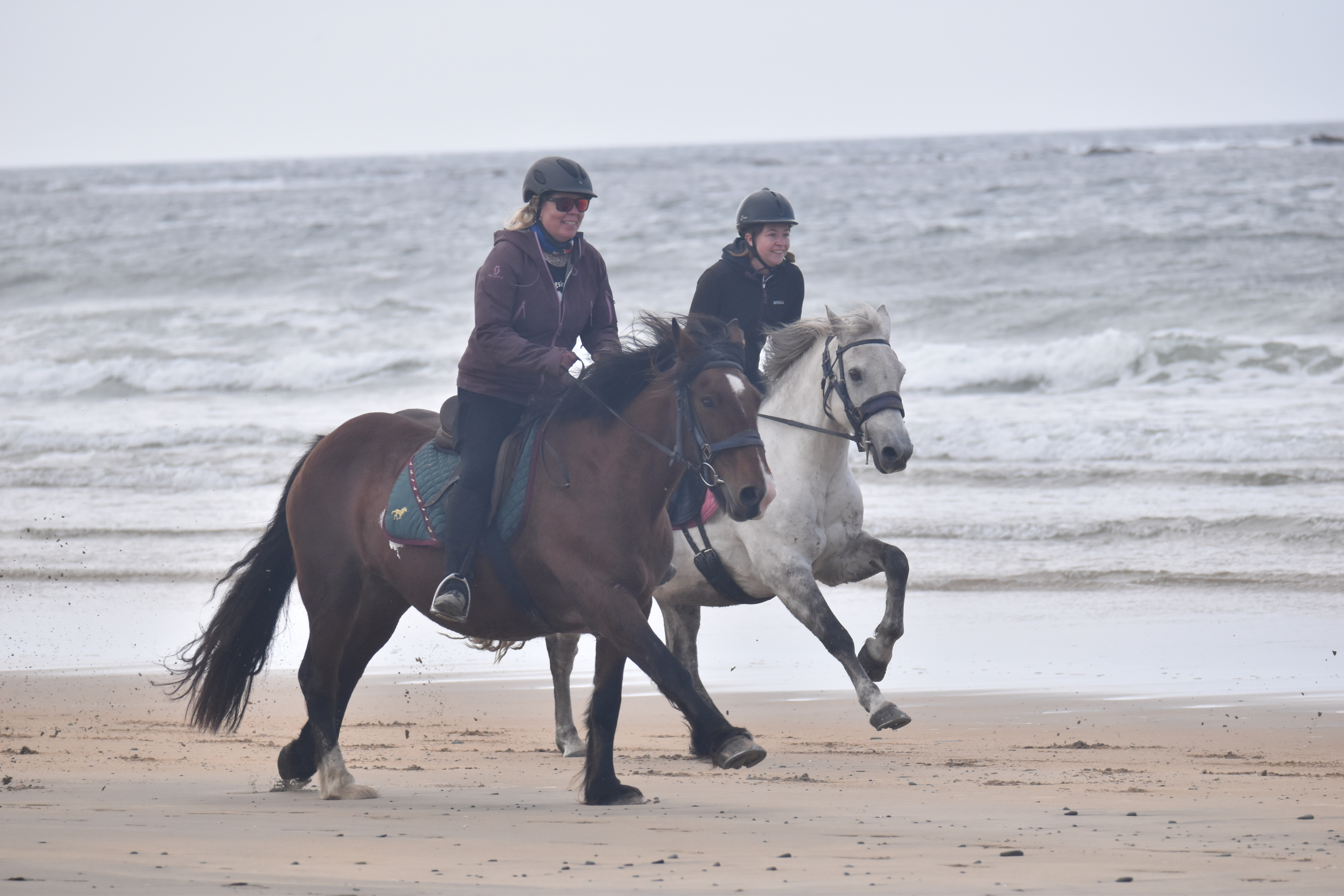 6-daagse paardrijtocht Atlantic Trail  – Ierland - Afbeelding 12