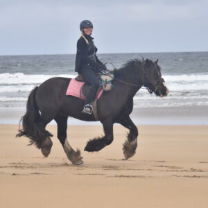 6-daagse paardrijtocht Atlantic Trail  – Ierland - Afbeelding 10