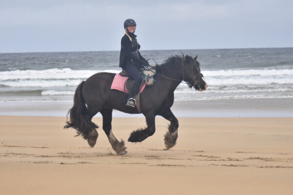 6-daagse paardrijtocht Atlantic Trail  – Ierland