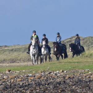 6-daagse paardrijtocht Atlantic Trail  – Ierland - Afbeelding 9