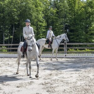 Retraite met paardrijden Mokronog Trebelno - Slovenië - Afbeelding 5