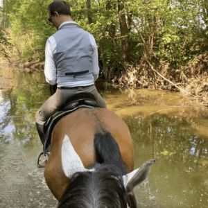 7-daagse Complete Paardrijervaring en het Ontdekken van Slovenië - Afbeelding 9