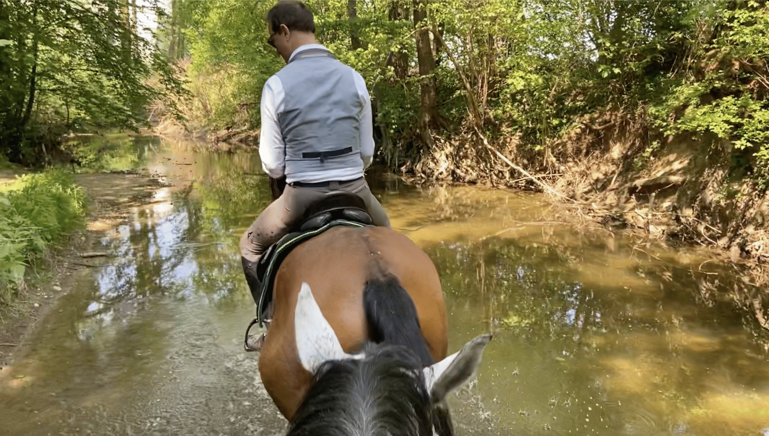 7-daagse Complete Paardrijervaring en het Ontdekken van Slovenië