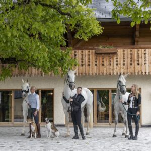 Retraite met paardrijden Mokronog Trebelno - Slovenië - Afbeelding 2