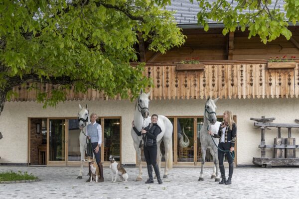 Retraite met paardrijden Mokronog Trebelno - Slovenië