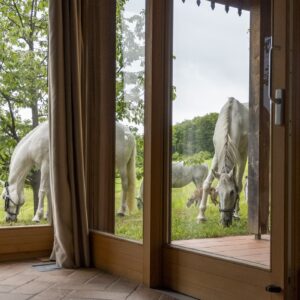 Retraite met paardrijden Mokronog Trebelno - Slovenië - Afbeelding 8