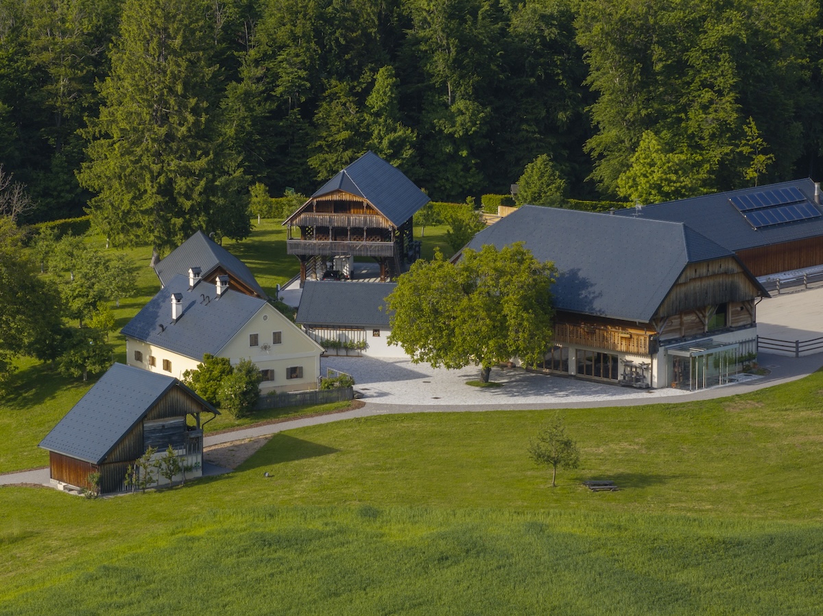 7-daagse Complete Paardrijervaring en het Ontdekken van Slovenië - Afbeelding 17