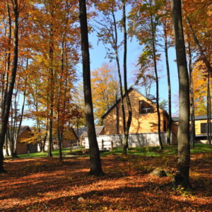 7-daagse Complete Paardrijervaring en het Ontdekken van Slovenië - Afbeelding 18