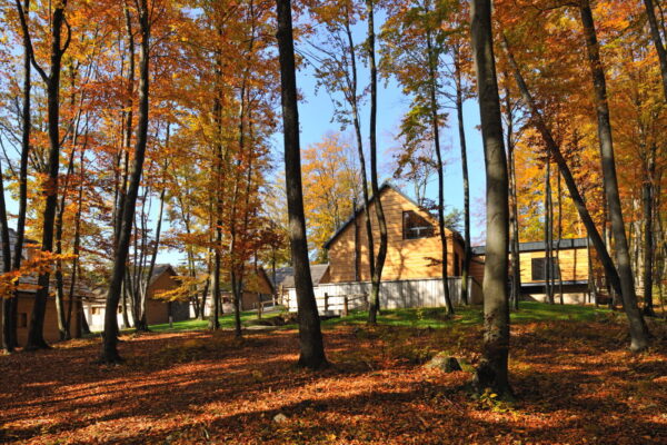 7-daagse Complete Paardrijervaring en het Ontdekken van Slovenië
