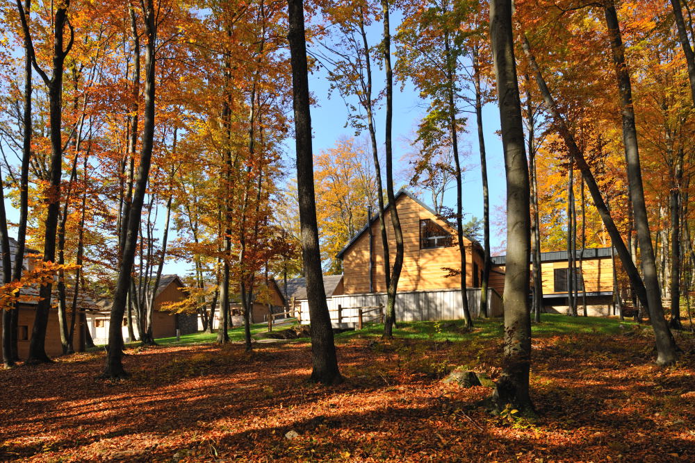 7-daagse Complete Paardrijervaring en het Ontdekken van Slovenië - Afbeelding 18