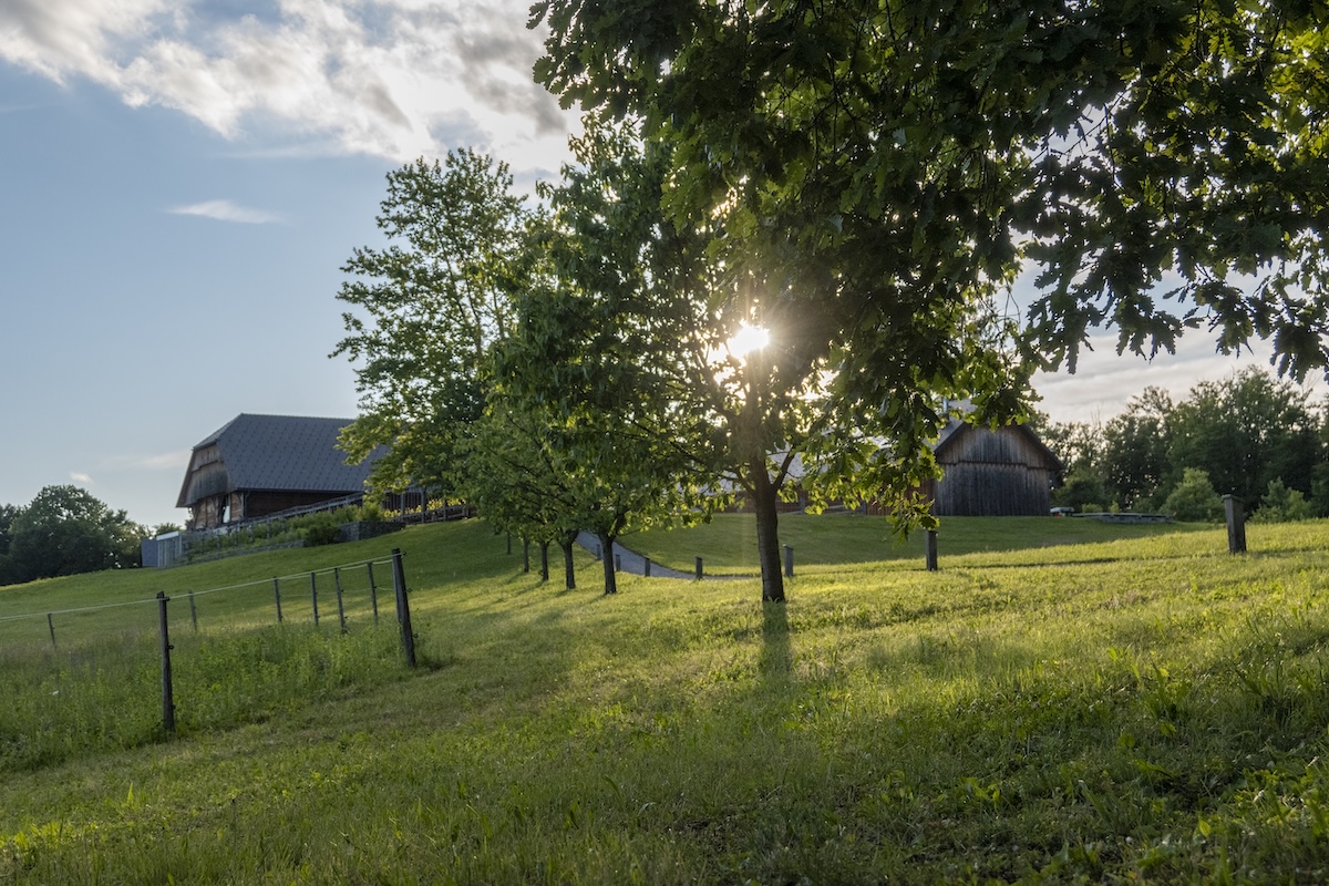 7-daagse Complete Paardrijervaring en het Ontdekken van Slovenië