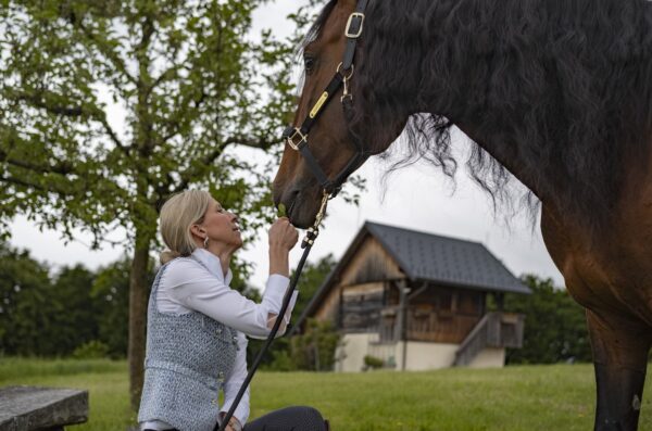Retraite met paardrijden Mokronog Trebelno - Slovenië