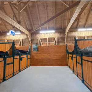 7-daagse Complete Paardrijervaring en het Ontdekken van Slovenië - Afbeelding 15