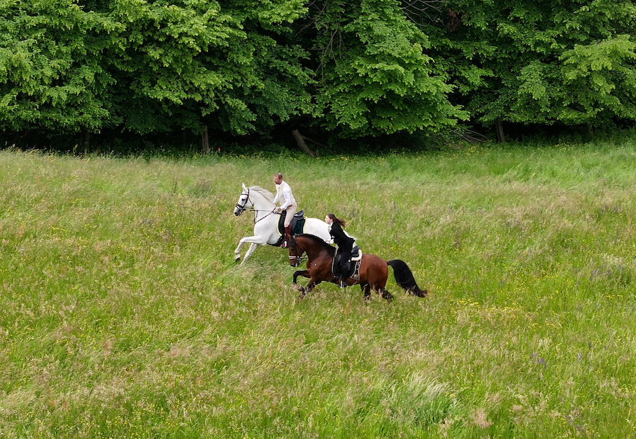 7-daagse Complete Paardrijervaring en het Ontdekken van Slovenië