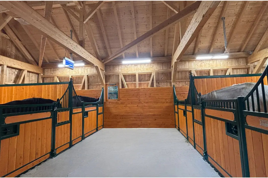 7-daagse Complete Paardrijervaring en het Ontdekken van Slovenië - Afbeelding 15