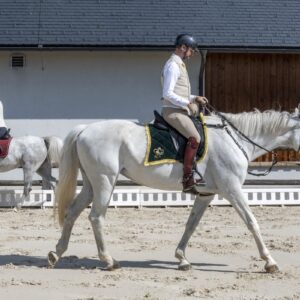 Retraite met paardrijden Mokronog Trebelno - Slovenië - Afbeelding 6