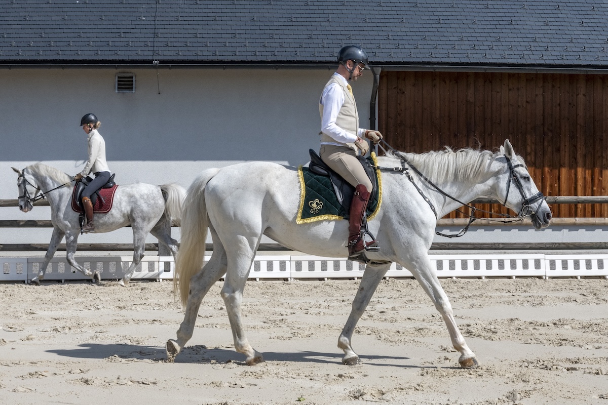 Retraite met paardrijden Mokronog Trebelno - Slovenië - Afbeelding 6