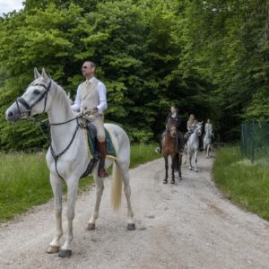 7-daagse Complete Paardrijervaring en het Ontdekken van Slovenië - Afbeelding 3