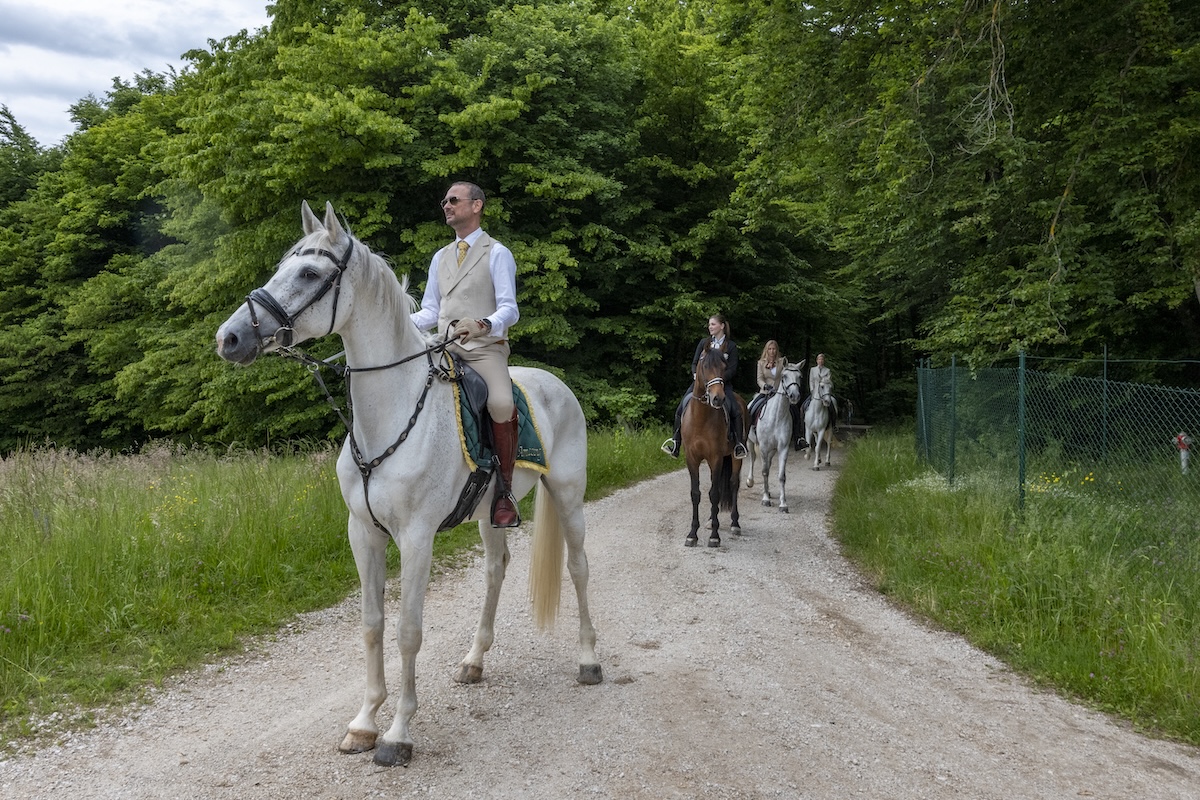 7-daagse Complete Paardrijervaring en het Ontdekken van Slovenië