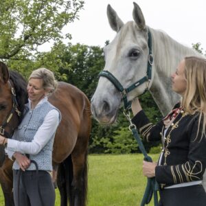 Retraite met paardrijden Mokronog Trebelno - Slovenië - Afbeelding 4