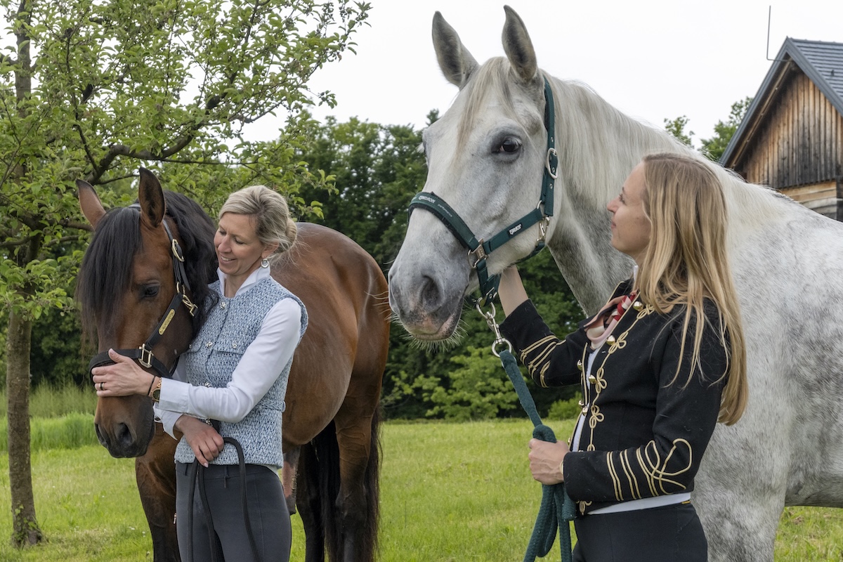 Retraite met paardrijden Mokronog Trebelno - Slovenië - Afbeelding 4