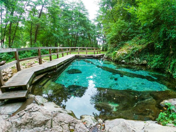 7-daagse Complete Paardrijervaring en het Ontdekken van Slovenië