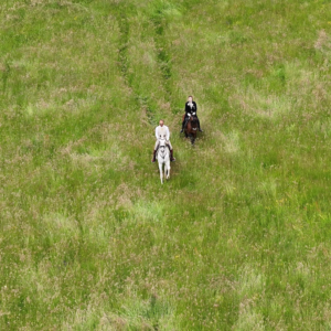 7-daagse Complete Paardrijervaring en het Ontdekken van Slovenië - Afbeelding 6