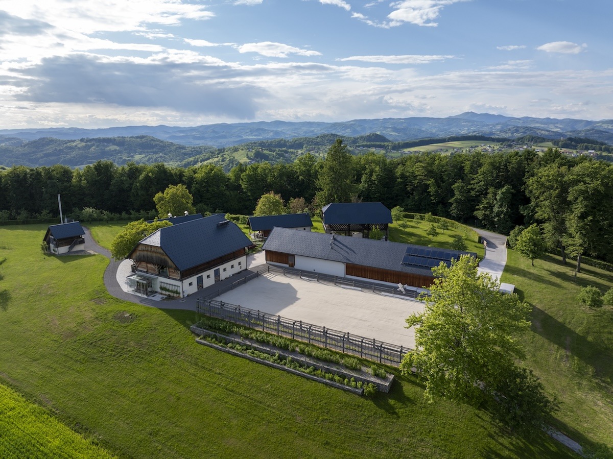 Retraite met paardrijden Mokronog Trebelno - Slovenië - Afbeelding 13