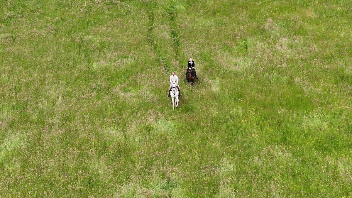 7-daagse Complete Paardrijervaring en het Ontdekken van Slovenië