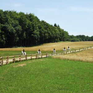 7-daagse Complete Paardrijervaring en het Ontdekken van Slovenië - Afbeelding 8