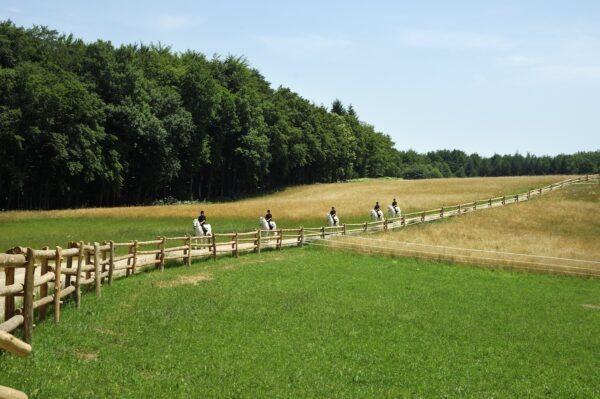 7-daagse Complete Paardrijervaring en het Ontdekken van Slovenië
