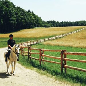 7-daagse Complete Paardrijervaring en het Ontdekken van Slovenië - Afbeelding 2