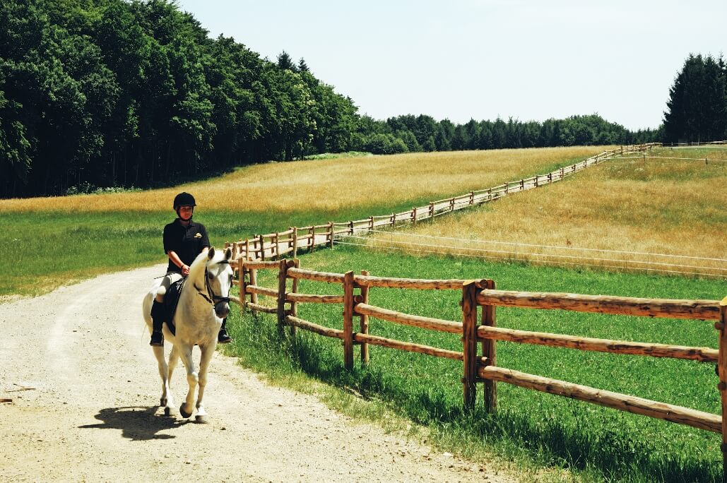 7-daagse Complete Paardrijervaring en het Ontdekken van Slovenië