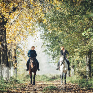 7-daagse Complete Paardrijervaring en het Ontdekken van Slovenië