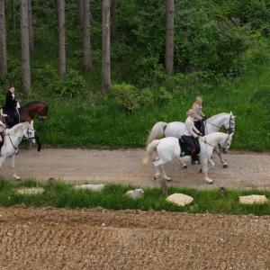 7-daagse Complete Paardrijervaring en het Ontdekken van Slovenië - Afbeelding 11
