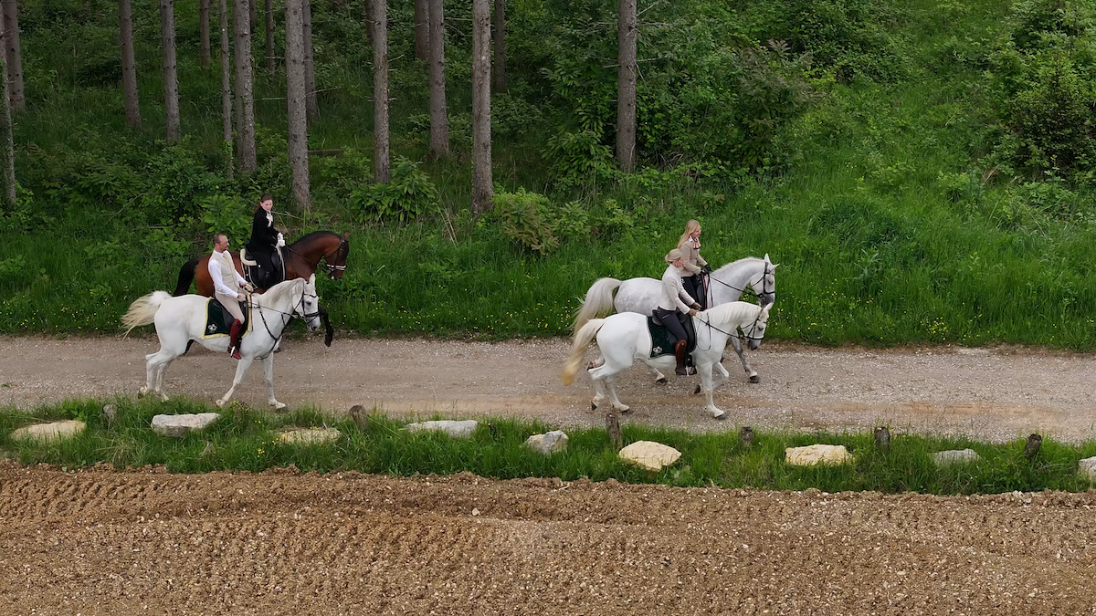 7-daagse Complete Paardrijervaring en het Ontdekken van Slovenië