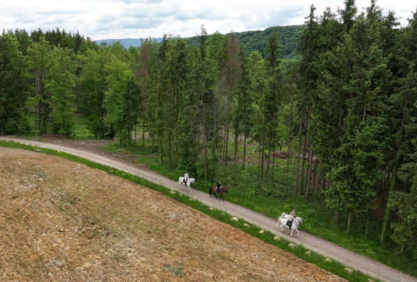 7-daagse Complete Paardrijervaring en het Ontdekken van Slovenië
