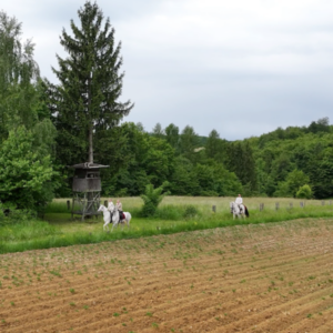 7-daagse Complete Paardrijervaring en het Ontdekken van Slovenië - Afbeelding 10