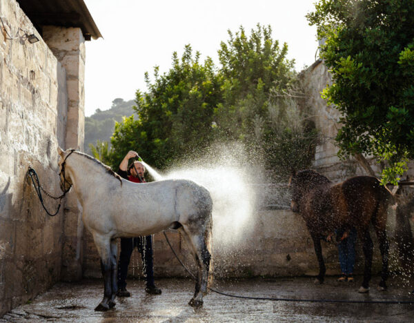 Buitenrit Randa Vallei excursie Mallorca - Spanje
