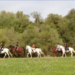 Buitenrit Randa Vallei excursie Mallorca - Spanje - Afbeelding 2