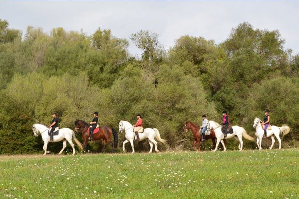 Buitenrit Randa Vallei excursie Mallorca - Spanje