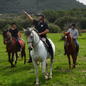 Buitenrit Randa Vallei excursie Mallorca - Spanje - Afbeelding 3