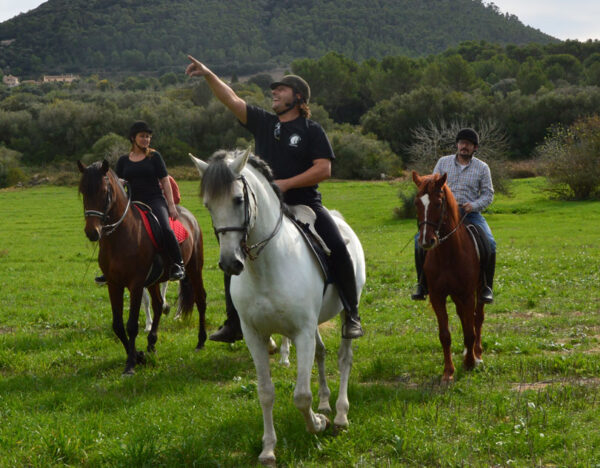 Buitenrit Randa Vallei excursie Mallorca - Spanje