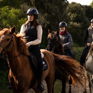 Buitenrit Randa Vallei excursie Mallorca - Spanje - Afbeelding 4