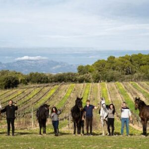 Buitenrit Andalusisch Paard & Mallorcaanse Wijnen excursie Mallorca- Spanje - Afbeelding 3