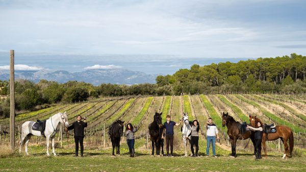 Buitenrit Andalusisch Paard & Mallorcaanse Wijnen excursie Mallorca- Spanje