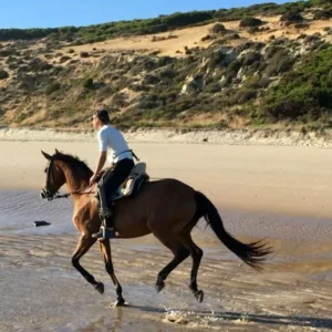 Privérit Strand Doñana Andalusië - Spanje